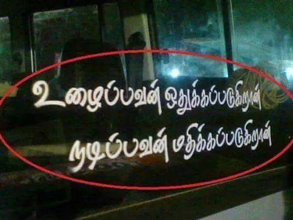 சுவாரஸ்ய படங்களின் தொகுப்பு