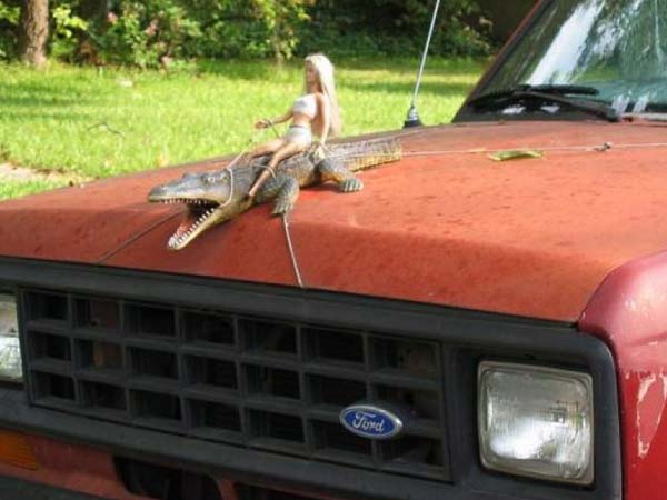  கார் ஆபரணச் சின்னங்கள்