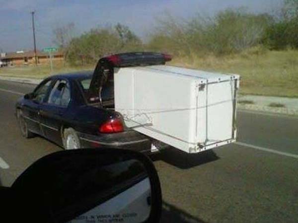 சுவாரஸ்ய படங்கள்