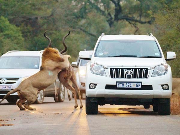கோரப் பசி