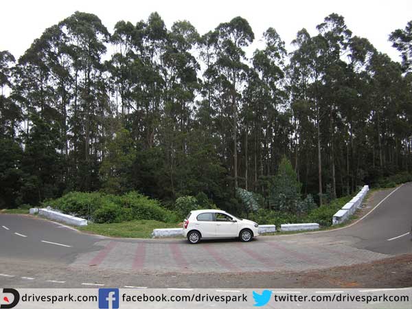  யூகலிப்டஸ் வந்த கதை..