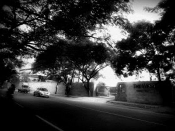 02. புளூ கிராஸ் ரோடு