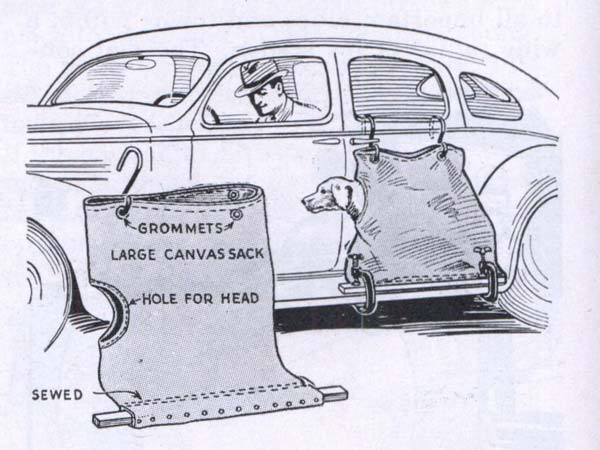 02.நாய்களுக்கான கோணிப் பை