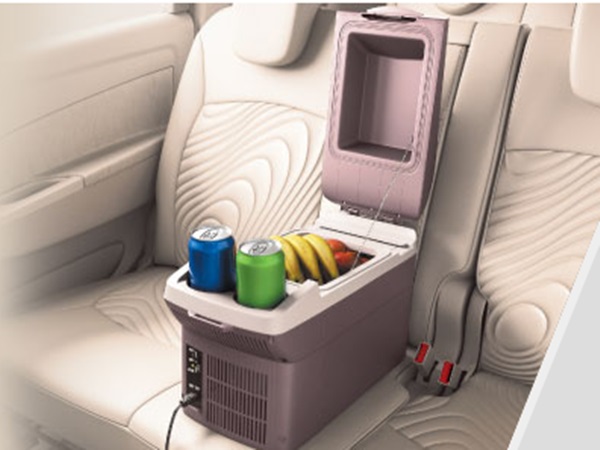 கூலர்/வார்மர் பாக்ஸ்