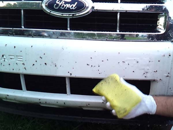 5) தார் அடையாளங்கள்;