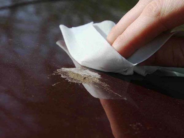 6) பறவைகளின் எச்சங்கள் (கழிவு);