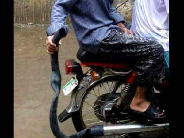 சான்ஸே இல்ல...