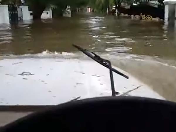 ராயப்பேட்டை அலி