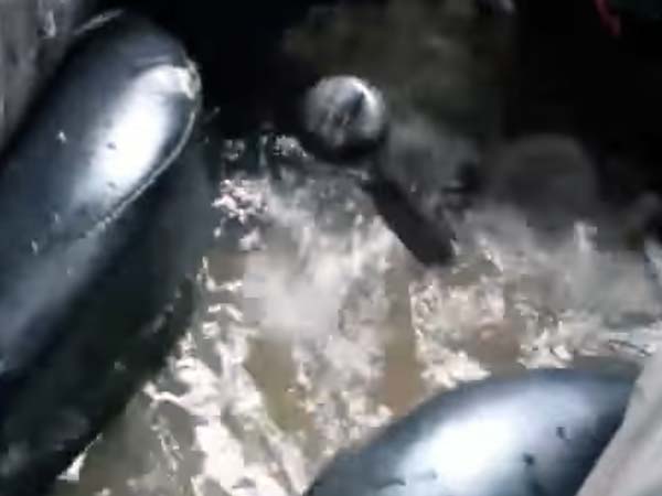 தில்லான அலி