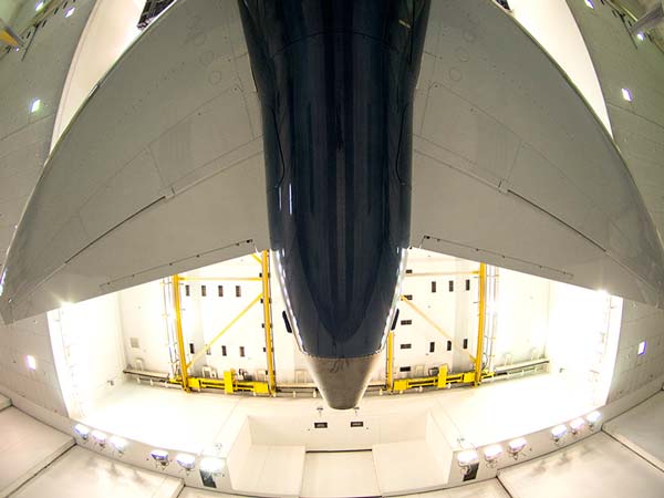 பிளவு இறக்கை