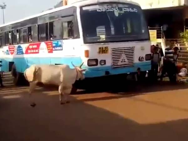 ஆச்சரியம், ஆனால் உண்மை... ஆச்சரியம், ஆனால் உண்மை...