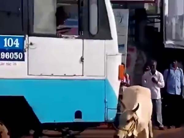 பாச வெறி... பாச வெறி...