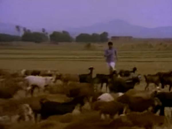 11. அடி ஆத்தாடி...