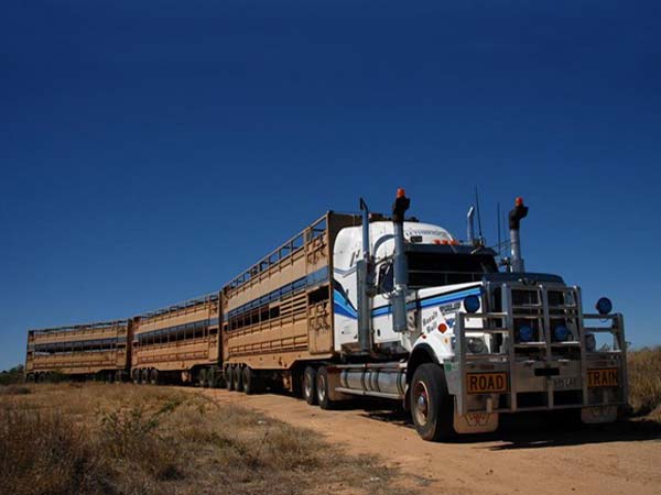  அதிகபட்ச பாரம்