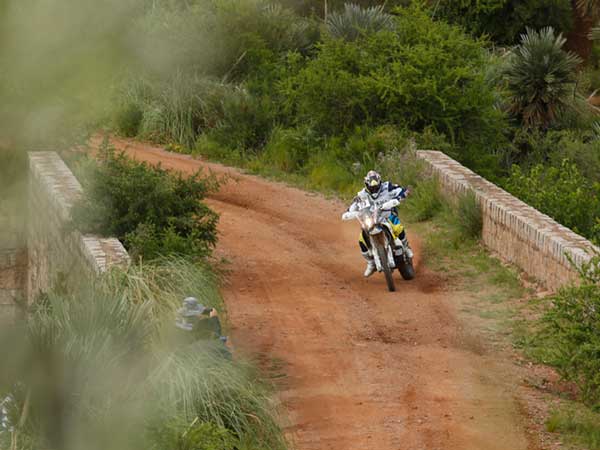 முன்னோடியாக விளங்குபவர்கள்;