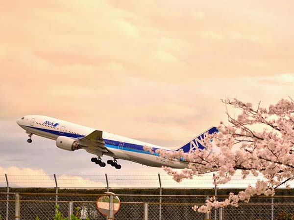 04. ஆல் நிப்பான் ஏர்லைன்ஸ்