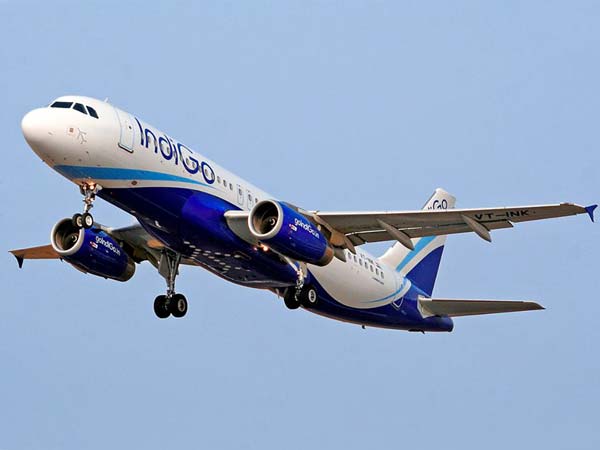 01. இண்டிகோ