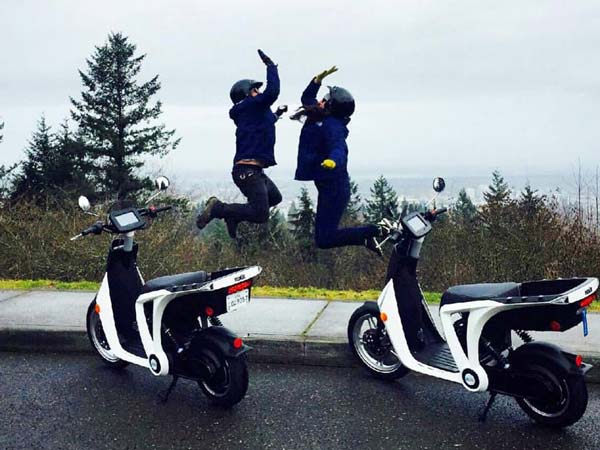 ஜென்ஸீ பற்றி...