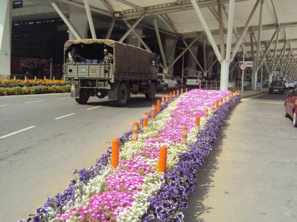 பரப்பளவு பரப்பளவு