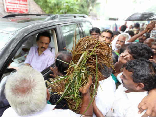 பிராடோ மதிப்பு