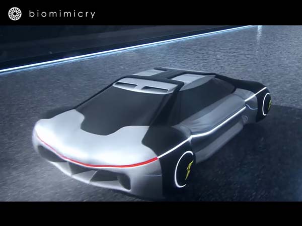 பந்து வடிவம் பந்து வடிவம்