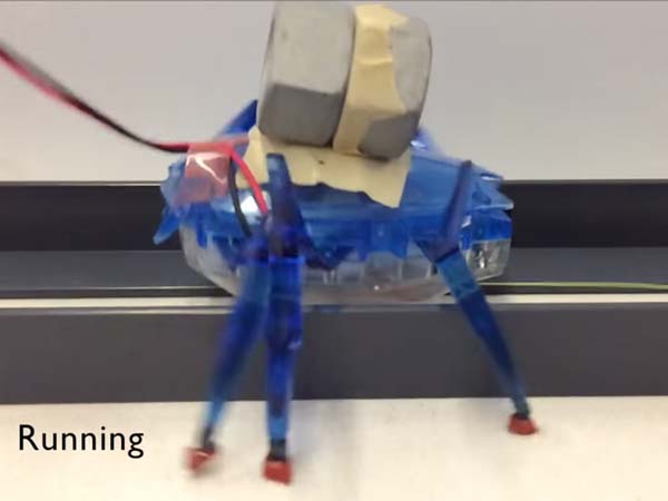  அமெரிக்க குழு கண்டுபிடிப்பு