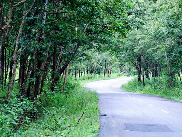 01. பெங்களூர்- பந்திப்பூர்