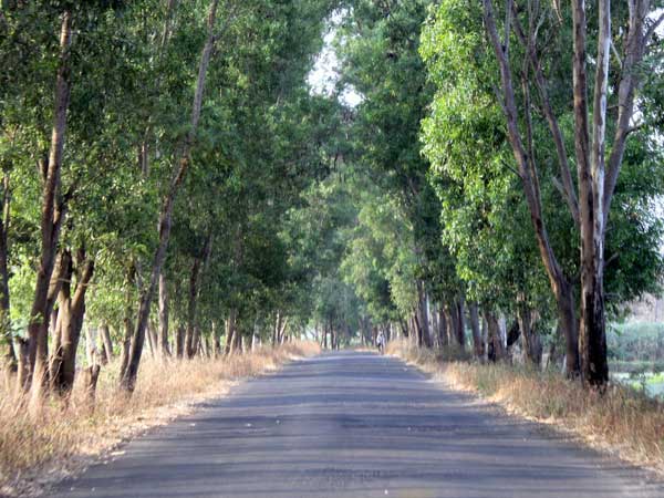 18. பெங்களூர் - கோவா