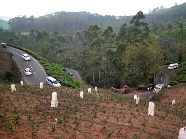 22. சென்னை- மூணார்