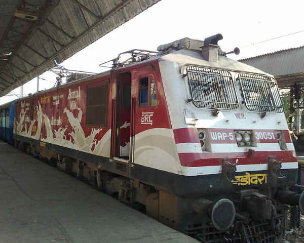 செக்குமாடு