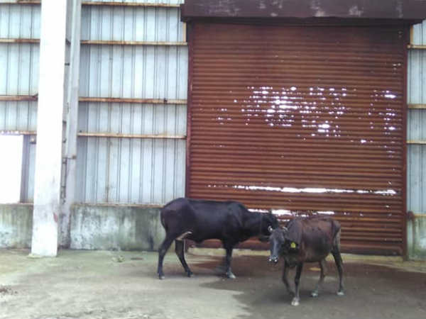 மற்றொரு அவலம்