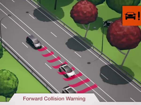 விலை உயர்ந்தது;