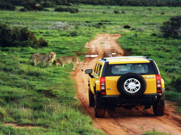 10. தென் ஆப்ரிக்கா