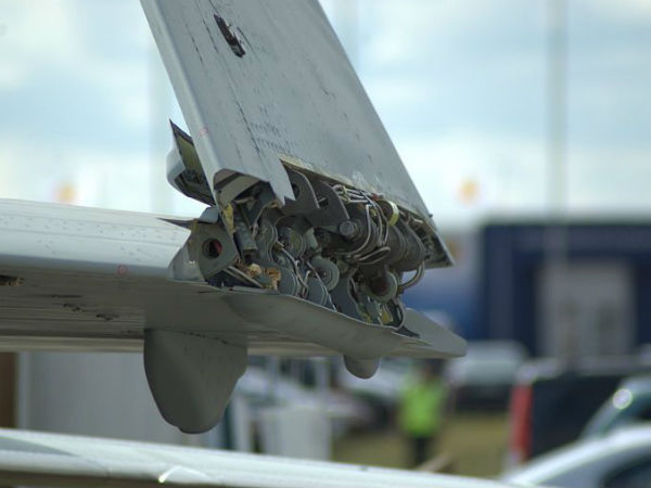  இறக்கை நீளம்