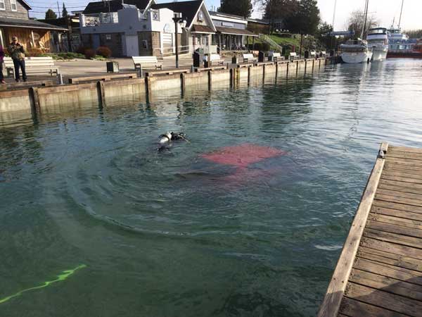 திருப்பம்...