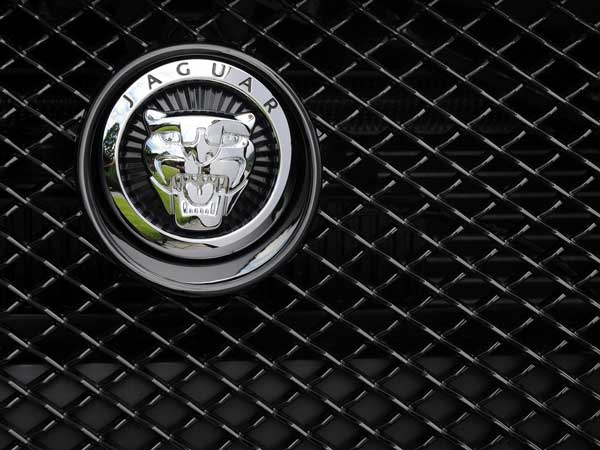 விலை உயர்ந்த மாடல்