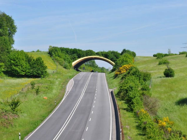 03. பி38- பிர்கெனாவ், ஜெர்மனி