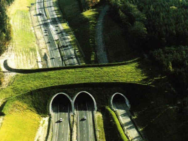 02. நெதர்லாந்து