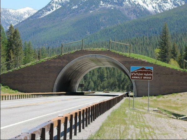 06. அமெரிக்கா