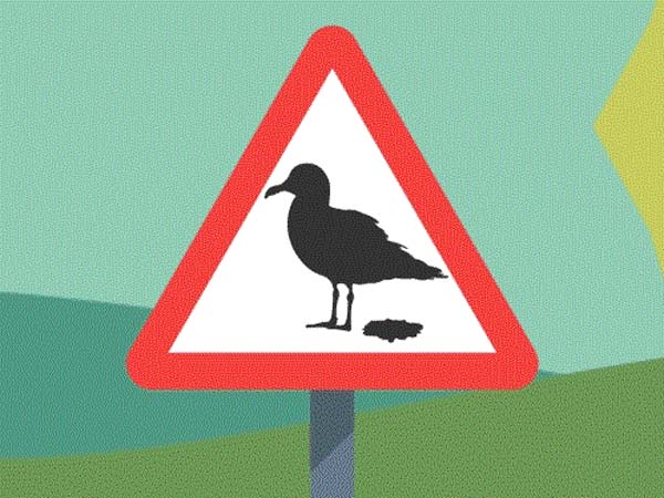 கார் பெயிண்ட்டை சீர்குலைக்கும் விஷயங்கள்... !!