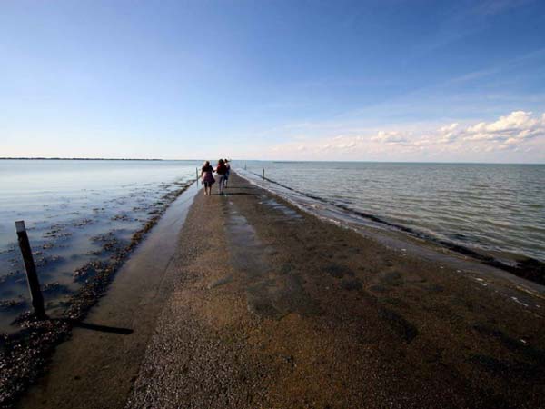 மேஜிக் சாலை: இது பிரான்ஸ் அதிசயம்!