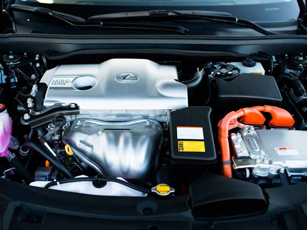 உயர்ந்த சேவை;