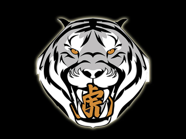 சிறப்பு அம்சங்கள்;