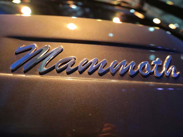 இந்தியாவில் அறிமுகமாகும் மேன் சொகுசு பஸ்கள்!