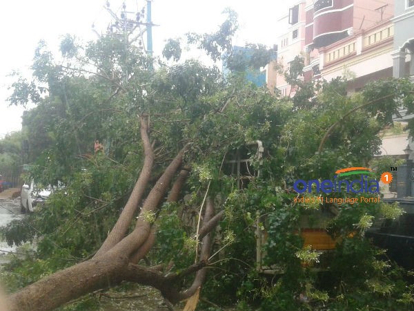 வர்தா கற்றுத் தந்த பாடம்: கார் இன்ஸ்யூரன்ஸ் பற்றிய சில கூடுதல் தகவல்கள்! வர்தா கற்றுத் தந்த பாடம்: கார் இன்ஸ்யூரன்ஸ் பற்றிய சில கூடுதல் தகவல்கள்!