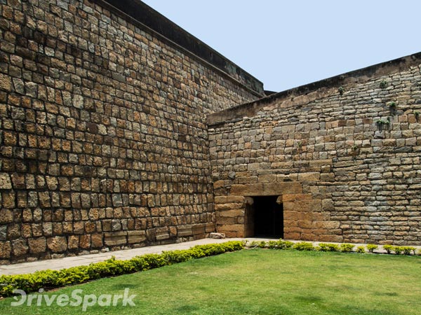  டிவிஎஸ் வீகோ ஸ்கூட்டருடன் புத்தாண்டு கொண்டாட்டம் ஆரம்பம்!