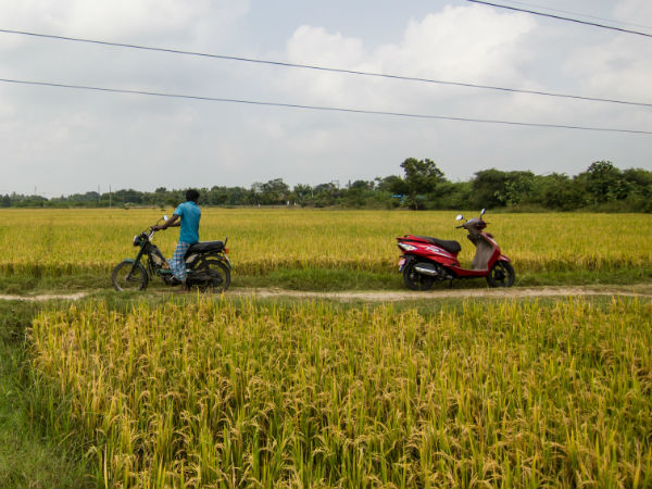 டிவிஎஸ் வீகோ ஸ்கூட்டருடன் பொங்கல் கொண்டாட்டம்!