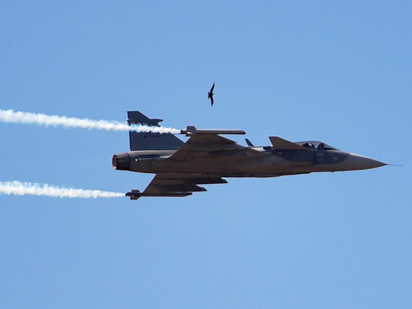 ரஃபேல் போர் விமானத்தில் பறந்த அனில் அம்பானி!!