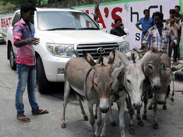 கழுதையை வைத்து போராட்டம் நடத்திய ஸ்கோடா கார் உரிமையாளர்