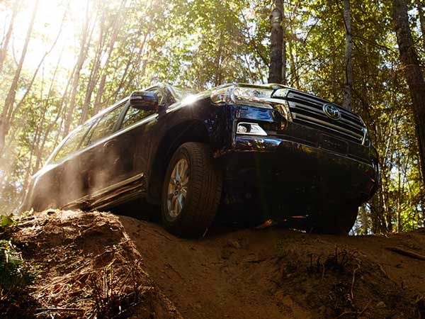 பேன்சி பதிவு எண் ஏலத்தில் புதிய சாதனை!